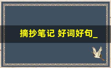 摘抄笔记 好词好句_读书笔记好词好句900